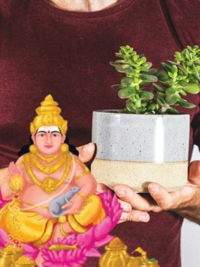 কুবেরের প্রিয় গাছটি বাড়ির এই দিকে রাখুন, হবে টাকার বৃষ্টি