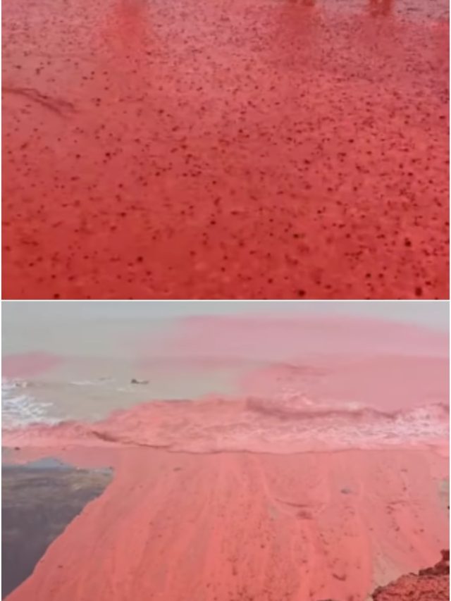 लाल बाढ़... बारिश के बाद हर तरफ लाल पानी, चौंका देने वाले हैं फोटो- वीडियो