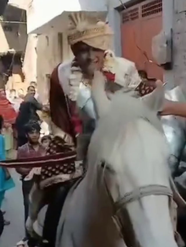 खुशी से फूला नहीं समा रहा था दूल्हा, घोड़ी पर चढ़ते ही हुआ धड़ाम, Video
