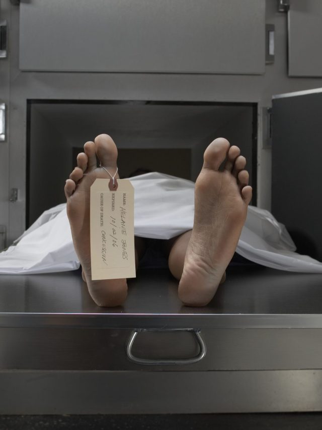 'মরা' এবং 'মড়া' শব্দ দুটির অর্থে ফারাকটা কী? অনেক বাংলা বিশারদেরই অজানা