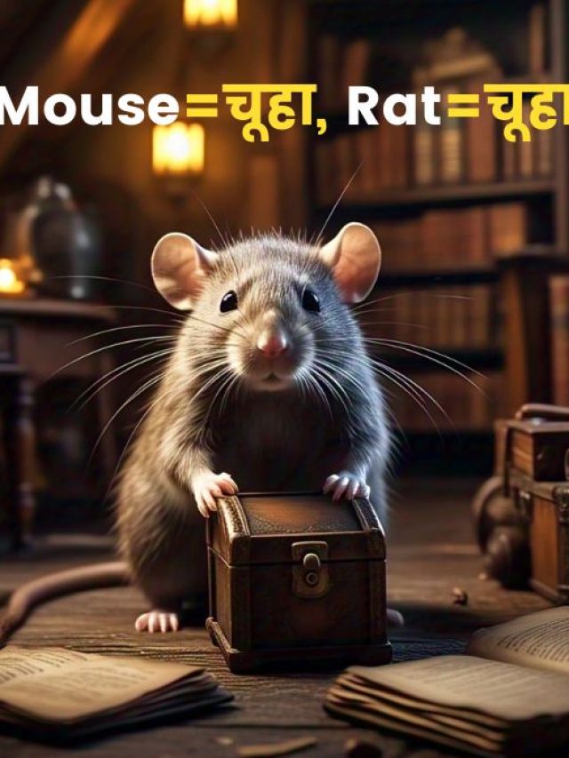 Mouse=चूहा, Rat=चूहा,अंग्रेजी में ऐसे कई एग्जांपल हैं, जानिए-क्यों?