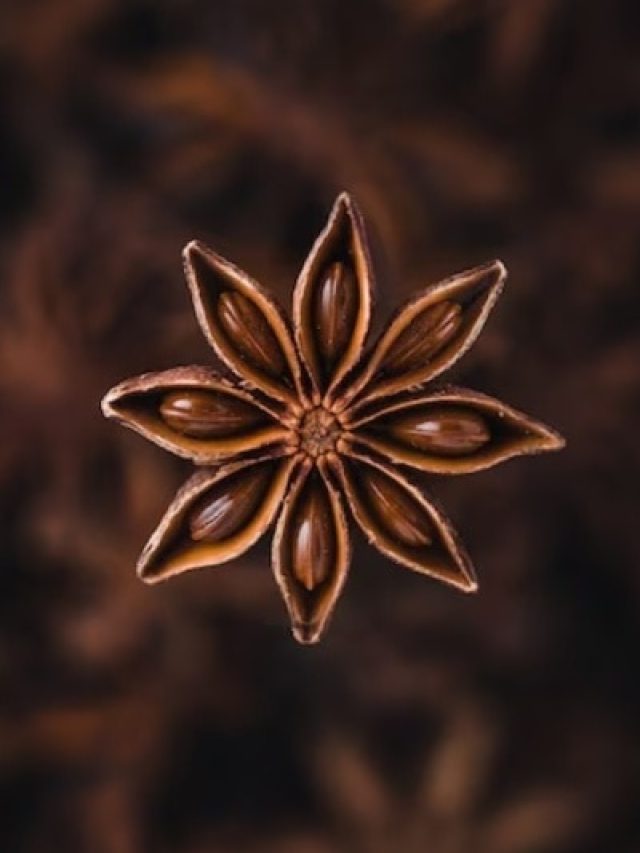 गजब के 6 फायदे देता है यह 'फूल'! जानकर रोज खाना कर देंगे शुरू