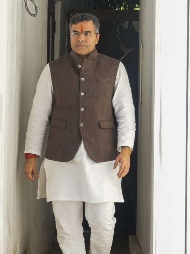 प्रवेश वर्मा का शेयरों में तगड़ा निवेश, रिलायंस से अडानी तक के स्टॉक में लगाया है पैसा