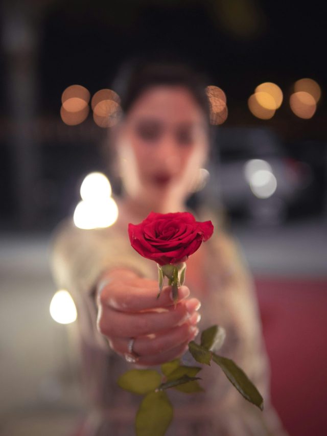 Rose Day Shayari... इन खूबसूरत लफ्जों से कहें अपने दिल की बात