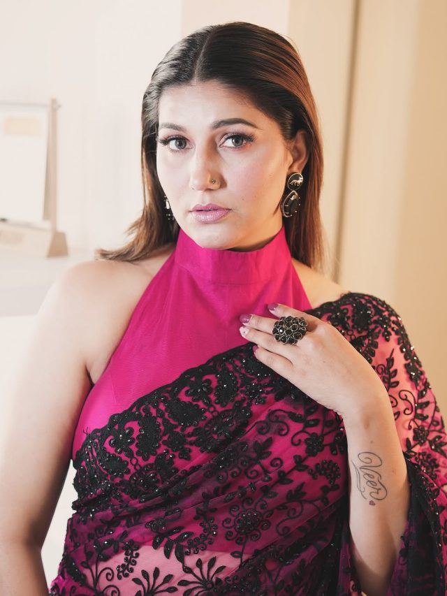 तीसरी बार मां बनेंगी सपना चौधरी? बोलीं- 3 बच्चे करूंगी, क्यों हैरान हुईं भारती