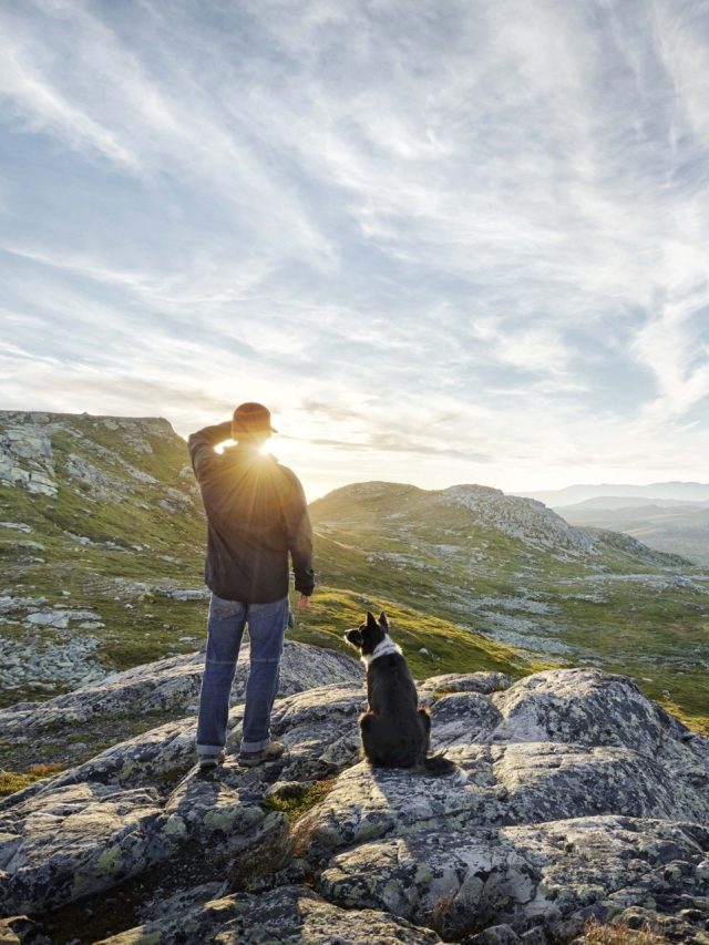 धनवान बनने से पहले सपने में दिखेंगी ये चीजें, भविष्य पुराण में बताया