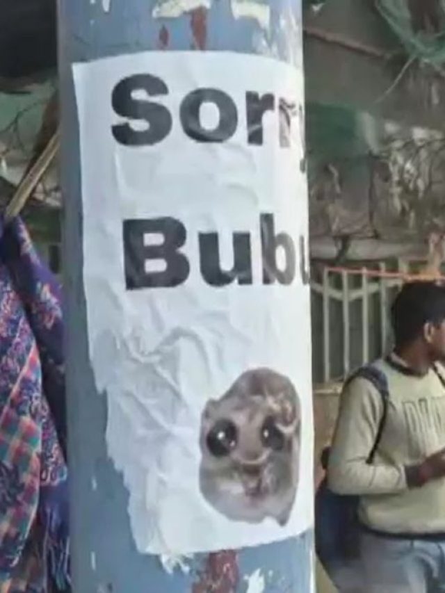 'SORRY BUBU' के पोस्टर वाली मिस्ट्री... किसके लिए है ये माफीनामा?