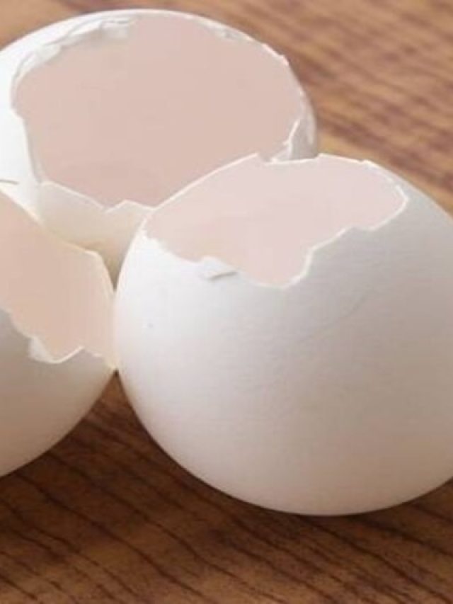 ডিমের খোসা মুখে লাগান, ৭০ বছরেও টানটান চামড়া, কীভাবে  মাখবেন? জানুন