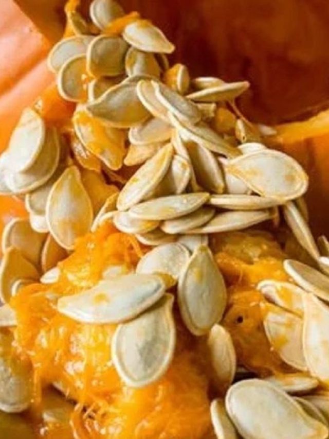 দিনে কতটা কুমড়োর বীজ খাওয়া যায়? রইল পুষ্টিবিদের টিপস