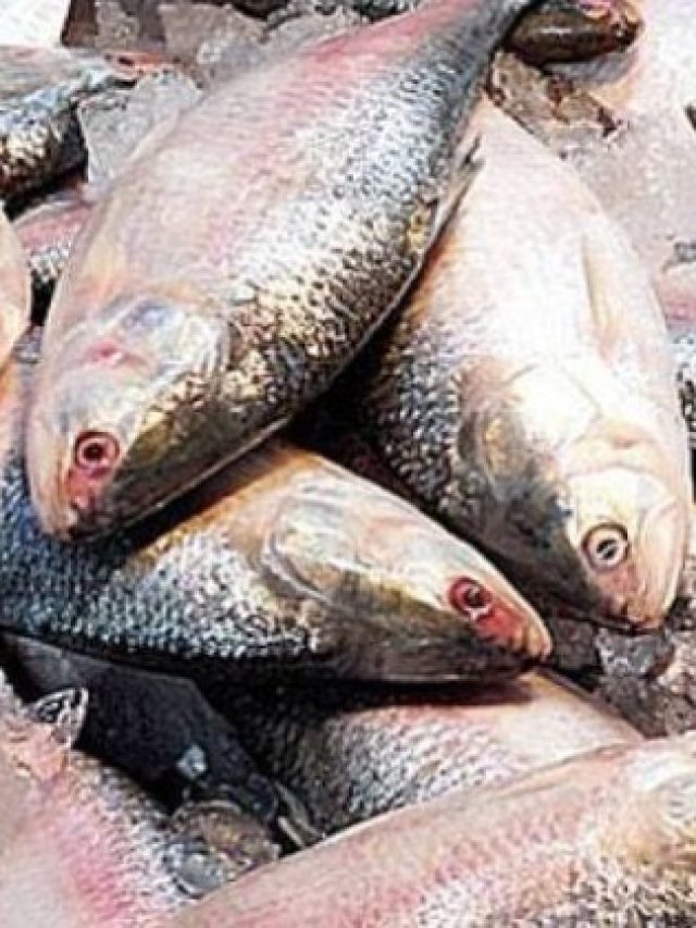 মাছের ছাল খেলে এসব হয়, মাথায় রাখুন