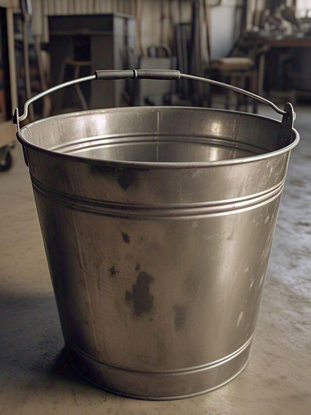 সকালে বালতিতে ফেলুন এই জিনিস, দিন ভালো যাবে