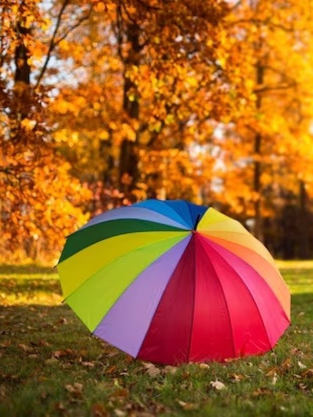 এই ছাতায় তরতরিয়ে কমবে ওজন, নিরামিশাষীদের অবশ্য খেতে হবে