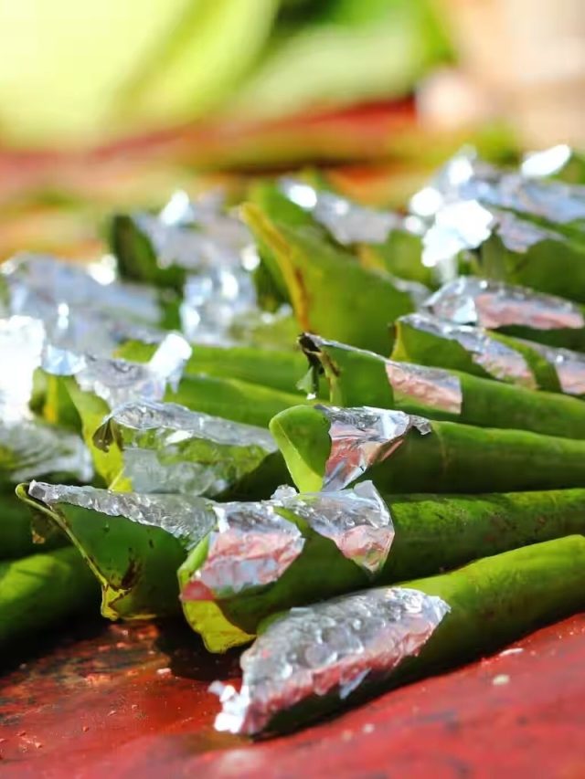 রোজ ভাত খাওয়ার পর পান খাওয়ার অভ্যাস থাকলে শরীরে এই সব হয়