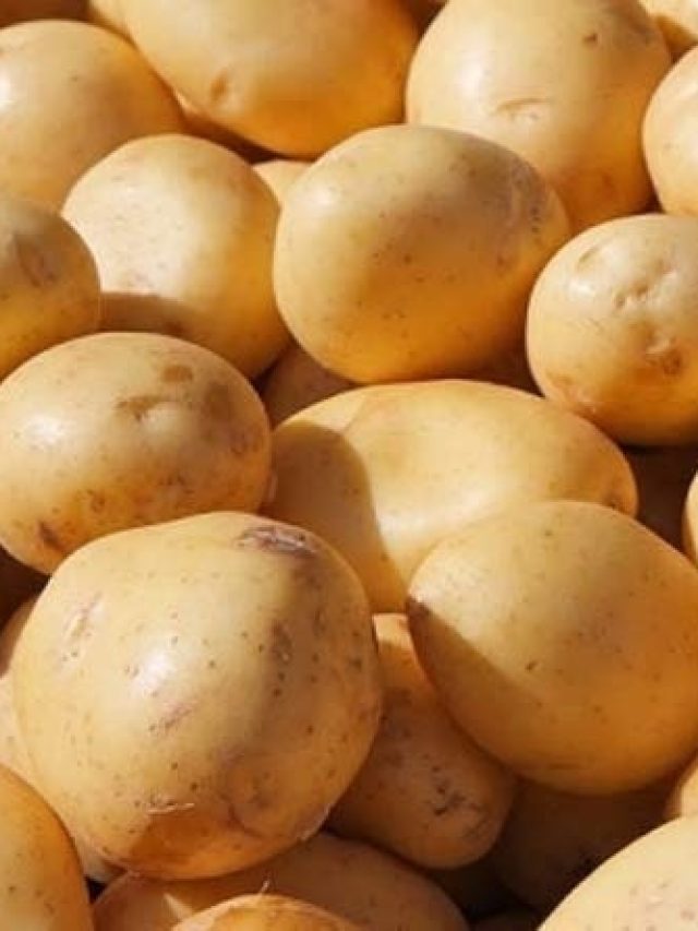 বিক্রেতা যতই বলুক, ভুলেও এই আলু নেবেন না, জেনে রাখুন