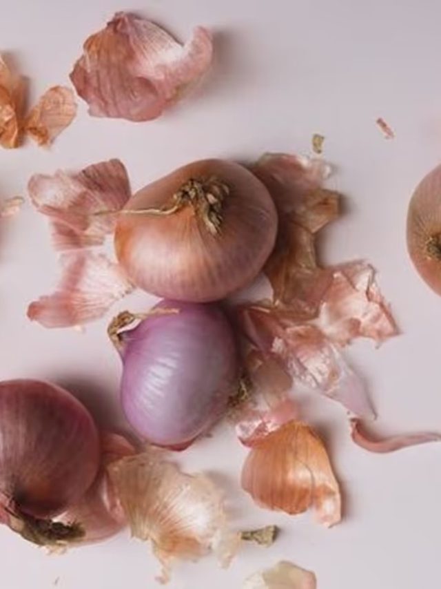পেঁয়াজের খোসা এভাবে খেলে হার্ট সুস্থ থাকে, জেনে নিন