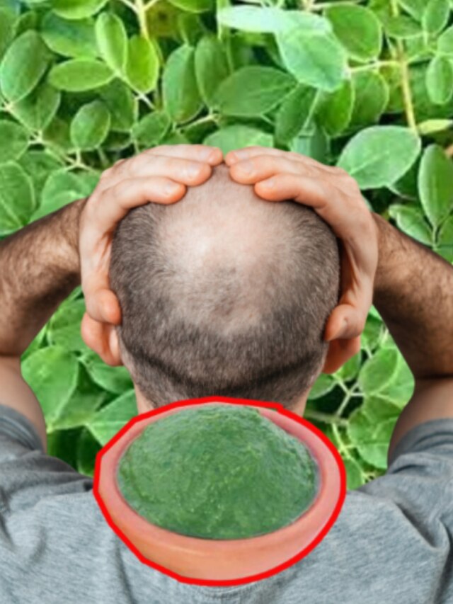 চিবিয়ে খান বাংলার এই পাতা, চুল গজাবে টাক মাথাতেও