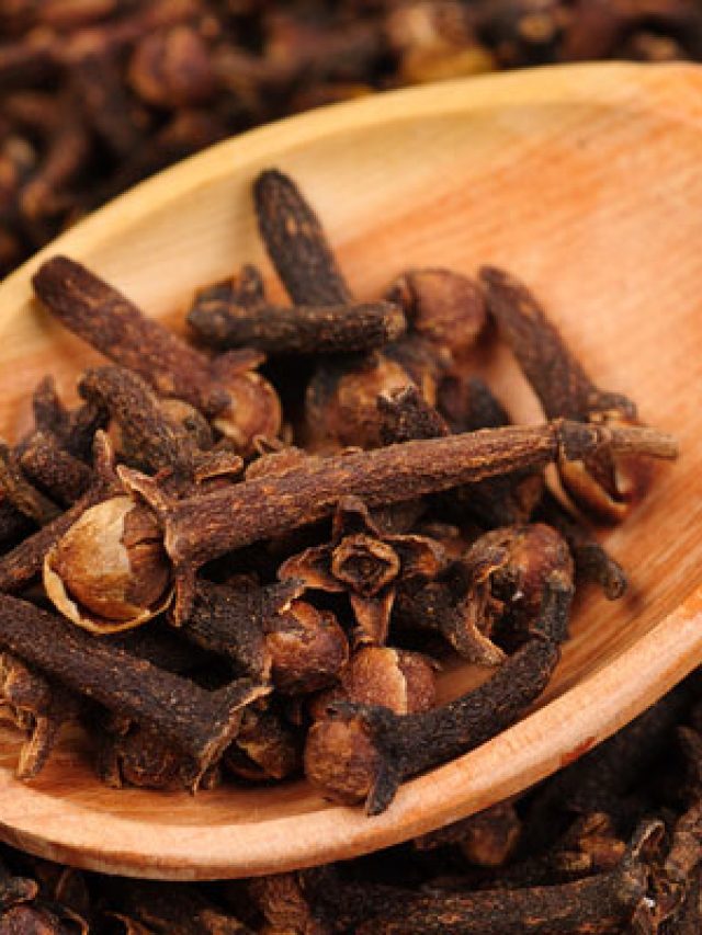 घी में ऐसे भून कर खाएं लौंग, हेल्थ से जुड़ी ये समस्याएं हो जाएंगी दूर