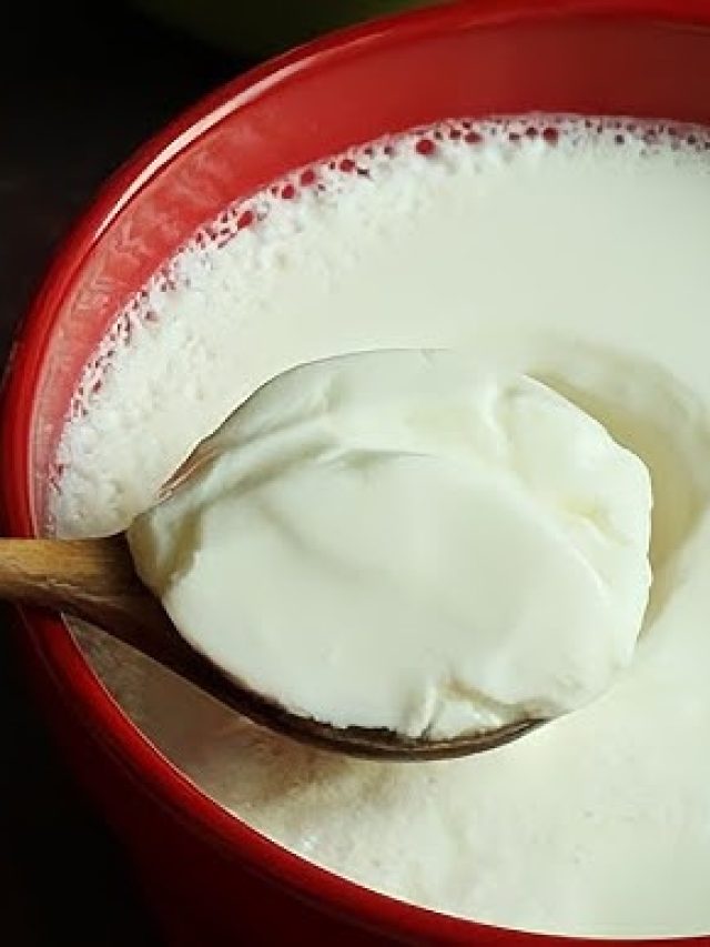 টক দই ফ্রিজে কতদিন ভাল থাকে? না জানলে জেনে নিন