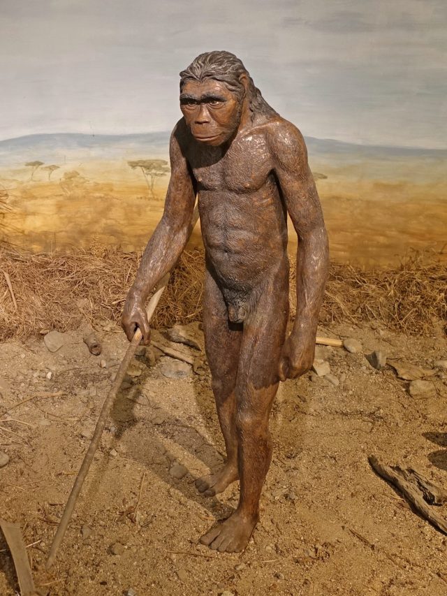 পৃথিবীর প্রথম মানুষ কে? অনেক শিক্ষিত লোকেও এটা জানে না