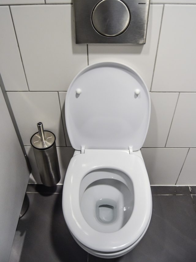 আপনি কতটা সুস্থ? বলবে আপনার পায়খানা, জেনে নিন কীভাবে