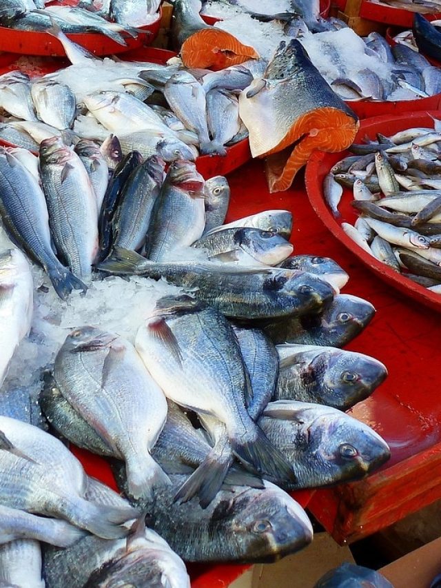 এই ৮ মাছ খাওয়া ছাড়ুন এখনই, বারোটা বাজায় শরীরের