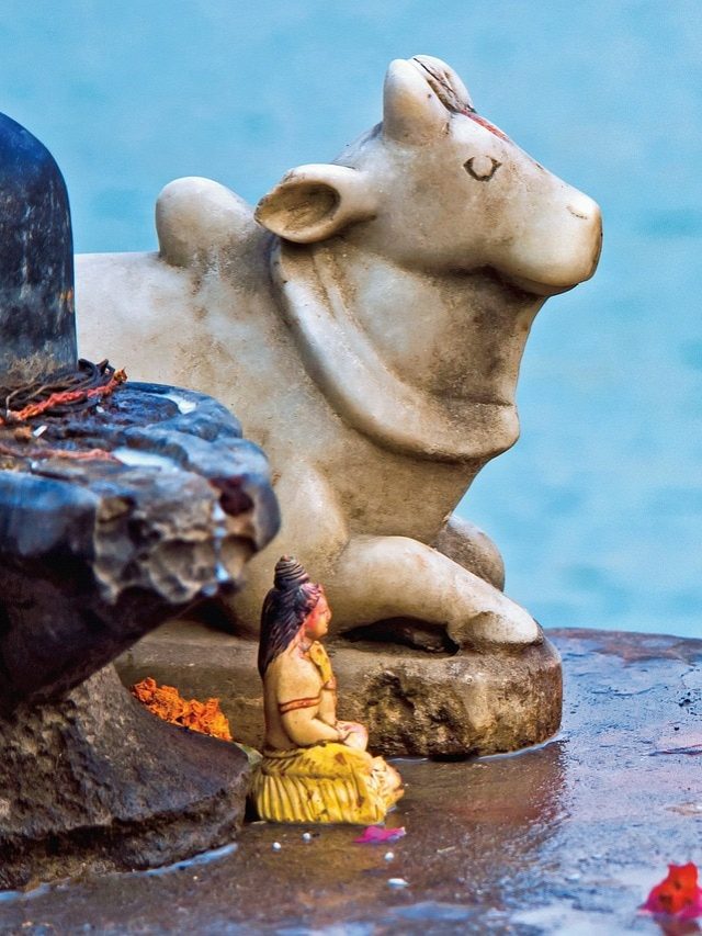 महाशिवरात्रि के दिन शिवलिंग पर जरूर चढ़ाएं ये चीजें, प्रसन्न हो जाएंगे भोलेनाथ