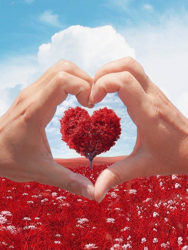 প্রেমের মাস ফেব্রুয়ারি! ভ্যালেন্টাইন্স উইকের কবে কোন দিন?