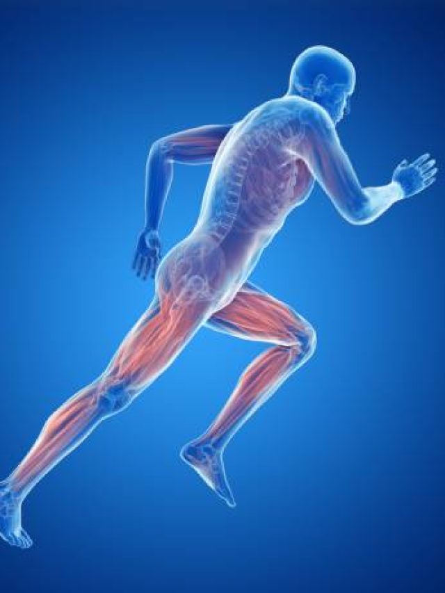 हर वक्त रहती है थकान और कमजोरी तो रोजाना खाएं ये फूड, शरीर में भर जाएगी नई जान