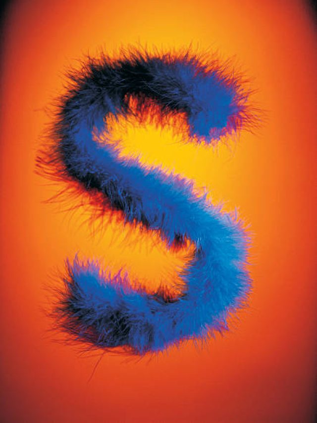 'S' দিয়ে নাম শুরু ছেলে-মেয়েদের স্বভাব চরিত্র কেমন হয়? জেনে রাখুন