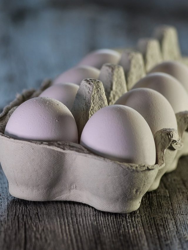 क्या आप भी फ्रिज में रखते हैं अंडे? जानें यह कितने दिन में होते हैं एक्सपायर