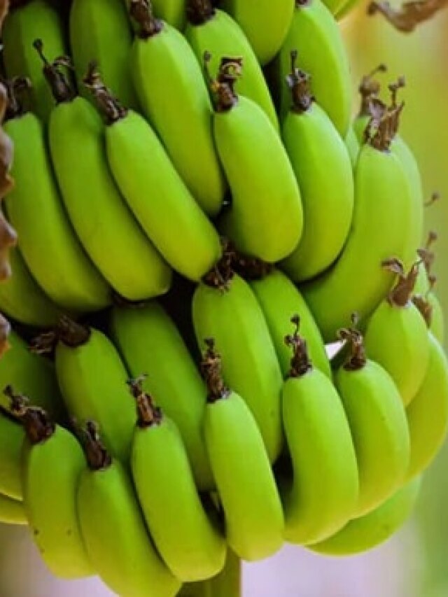 কাঁচকলা রান্নার আগে করতে হবে এই ছোট্ট কাজ, অনেক রাঁধুনি জানেই না