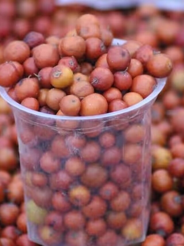 রক্তে থাকা বদ চিনি বেরিয়ে যাবে, ডায়াবেটিসের যম সস্তারএই ফল