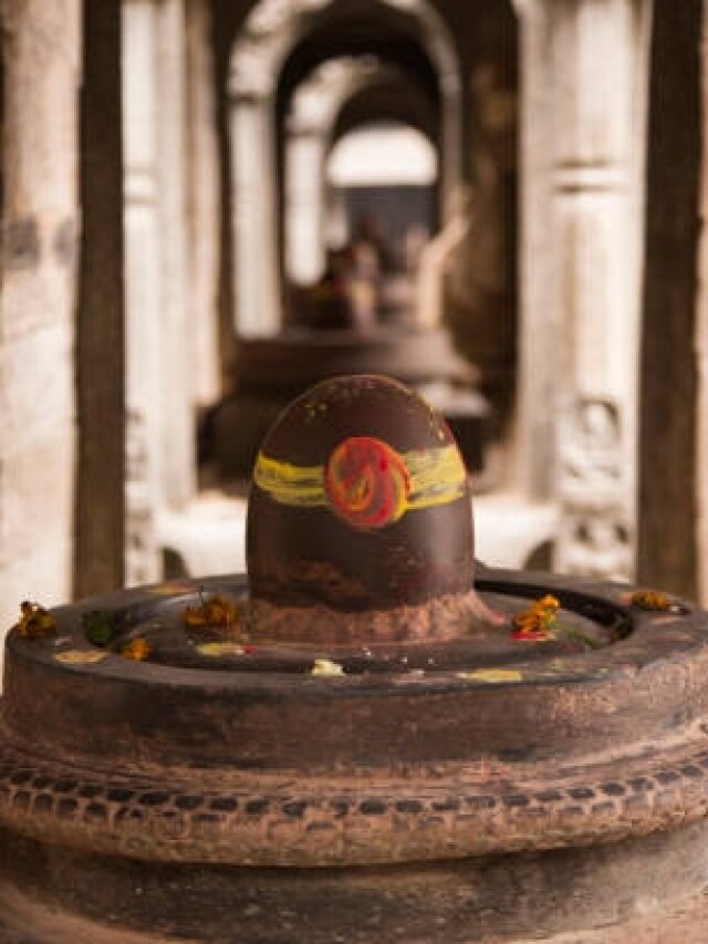 महाशिवरात्रि पर सुबह इतने बजे लग जाएगी भद्रा, इस मुहूर्त में चढ़ाएं शिवलिंग पर जल