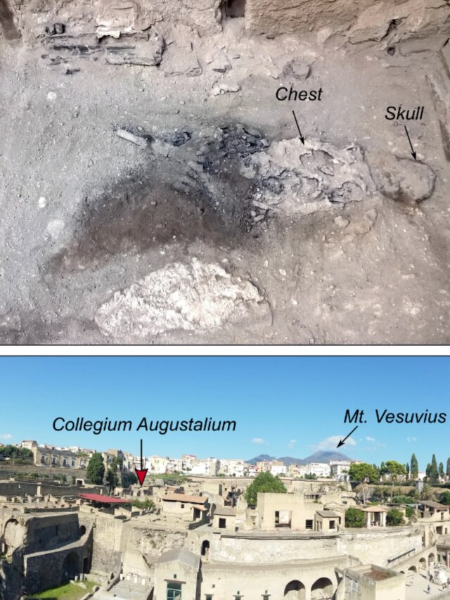 '510°C heatwave': Vesuvius eruption turned this man’s brain into glass