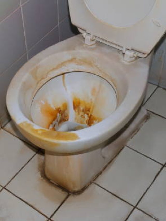 এমা! কমোডে কী বিচ্ছিরি হলুদ ছাপ, কিচেনের দুই মশলায় এক রাতে সাফ হবে
