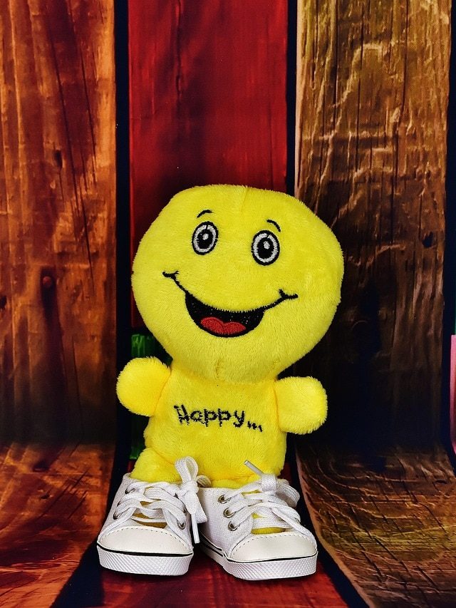 जब कपड़ों की दुकान पर घर खरीदने पहुंची मिंकी, चुटकुला पढ़कर लगाएंगे ठहाके