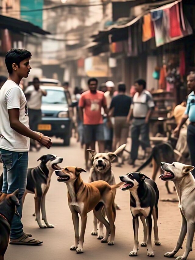 ফাঁকা রাস্তায় এক দঙ্গল কুকুর ঘিরে ধরলে কী করবেন? শিখুন ট্রিকস
