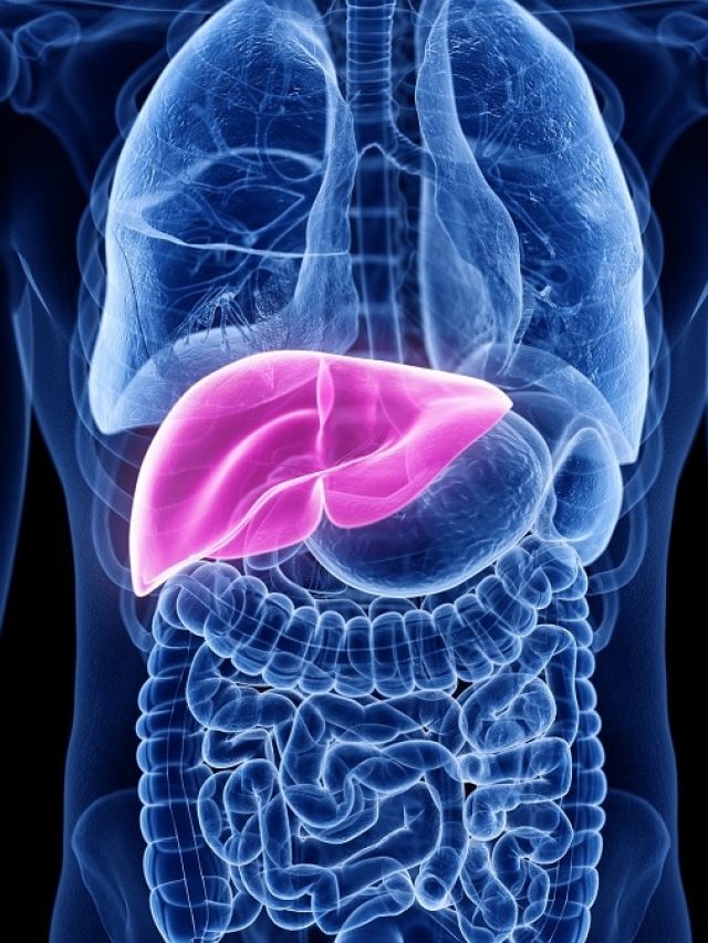 'फैटी लिवर' को कहें अलविदा! इन 5 कुकिंग ऑयल्स में बना खाना घटा सकता है चर्बी