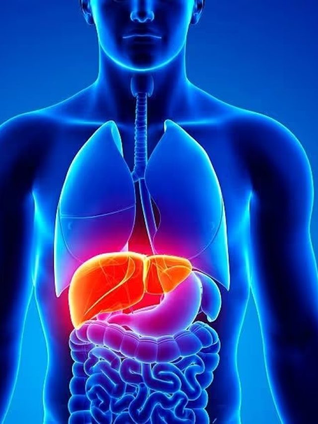 ধীরে ধীরে লিভার ছাই করে দেয় এই ৫ খাবার, একদম ছোঁবেন না