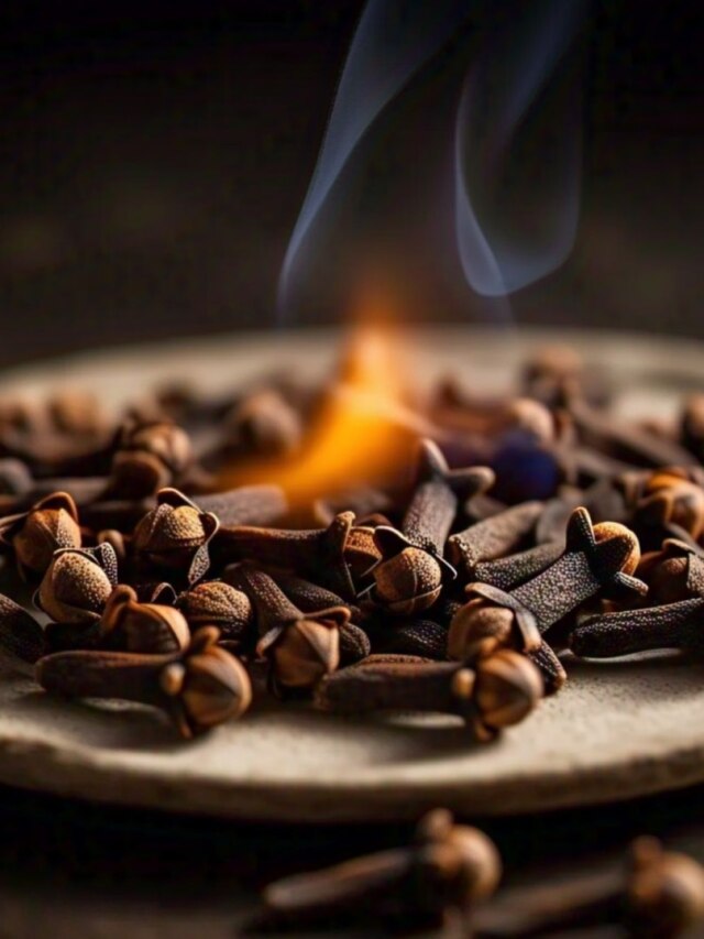 আয় নেই? দাম্পত্য-সুখেও ভাটা? এভাবে লবঙ্গ পোড়ান: তন্ত্র টোটকা