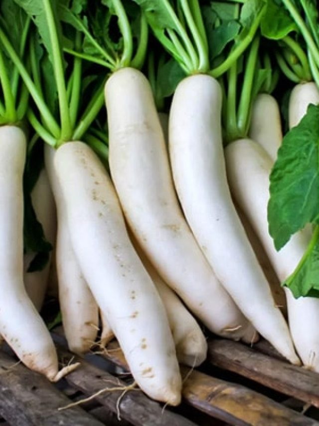 বিদঘুটে গন্ধের জন্য মুলো খান না? এই ৩ উপায়ে দূর হবে বদগন্ধ