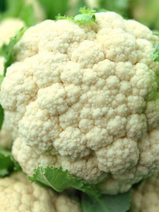 ফুলকপি খেলেই মরবেন, চিরতরে ভুলে যান এই সবজিকে