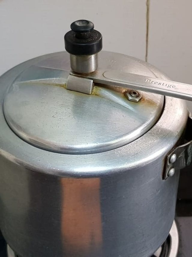 এই ৪ খাবার কুকারে রান্না করবেন না, এতদিন ভুলটা জানতেন