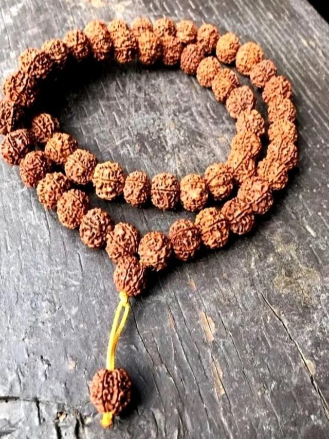 কীভাবে চিনবেন আসল বা নকল রুদ্রাক্ষ কোনটা? না জানলে ঠকবেন