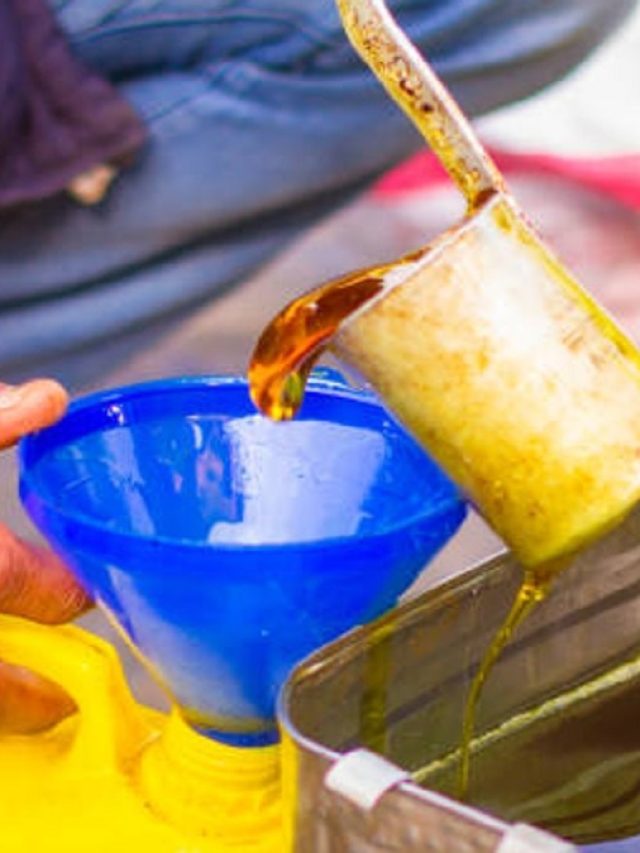 नुकसान का संकेत है किचन में इन 4 चीजों का गिरना, घर से चली जाएगी खुशहाली