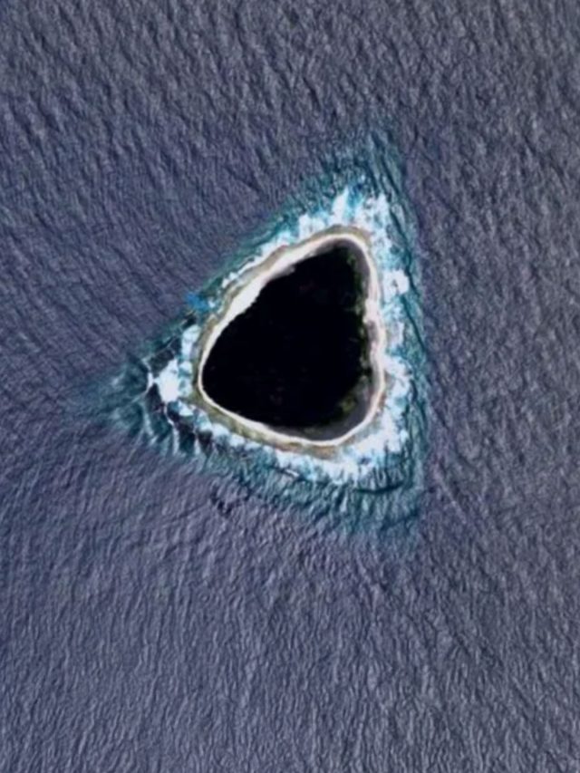 'A triangle in the ocean': This mystery void in the Pacific swallows light and kills birds