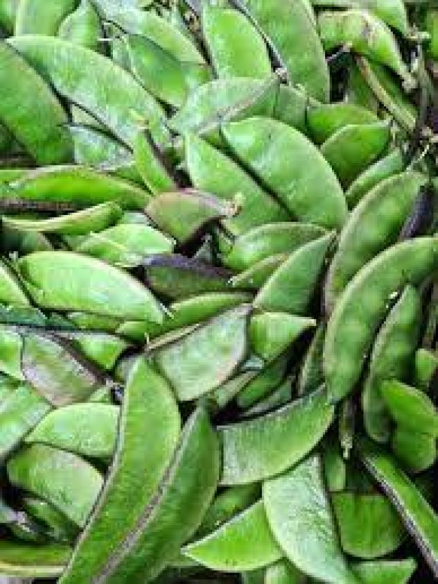 সিম তাজা থাকবে একবছর, বছরভর খাওয়ার নিনজা হ্যাকস শিখুন