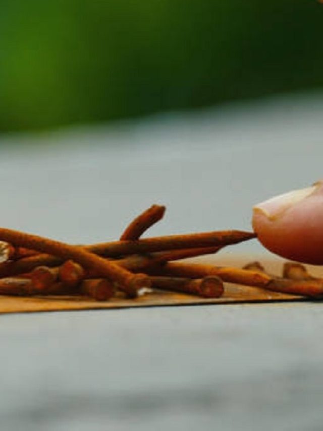 आदमी का विनाश कर देती हैं दरवाजे के सामने रखीं ये 5 चीजें, तुरंत हटा दें