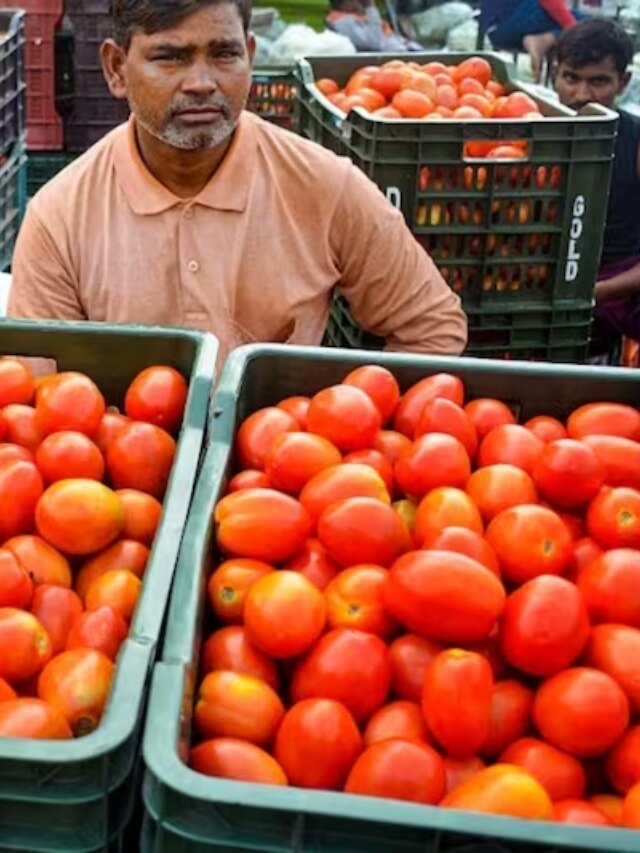 টমেটোর বাংলা কী? ৯০% মানুষই জানেন না