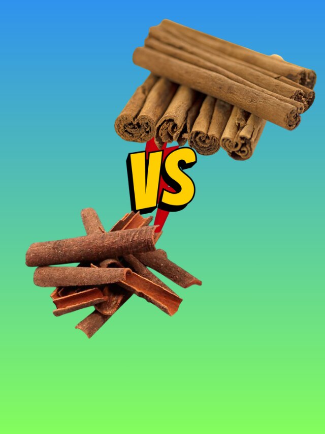 বাজারে বিকোচ্ছে চিনা মাল, আসল দারচিনি চিনবেন কীভাবে?